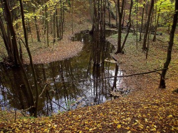 3 marca – Międzynarodowy Dzień Dzikiej Przyrody., 